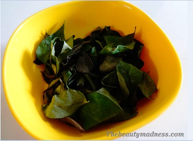 curry leaves for weight loss