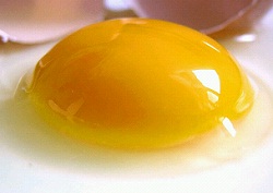 egg white for dark circles
