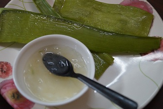 aloe vera collgen